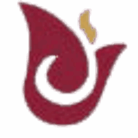 Dwarka Gems Limited logo