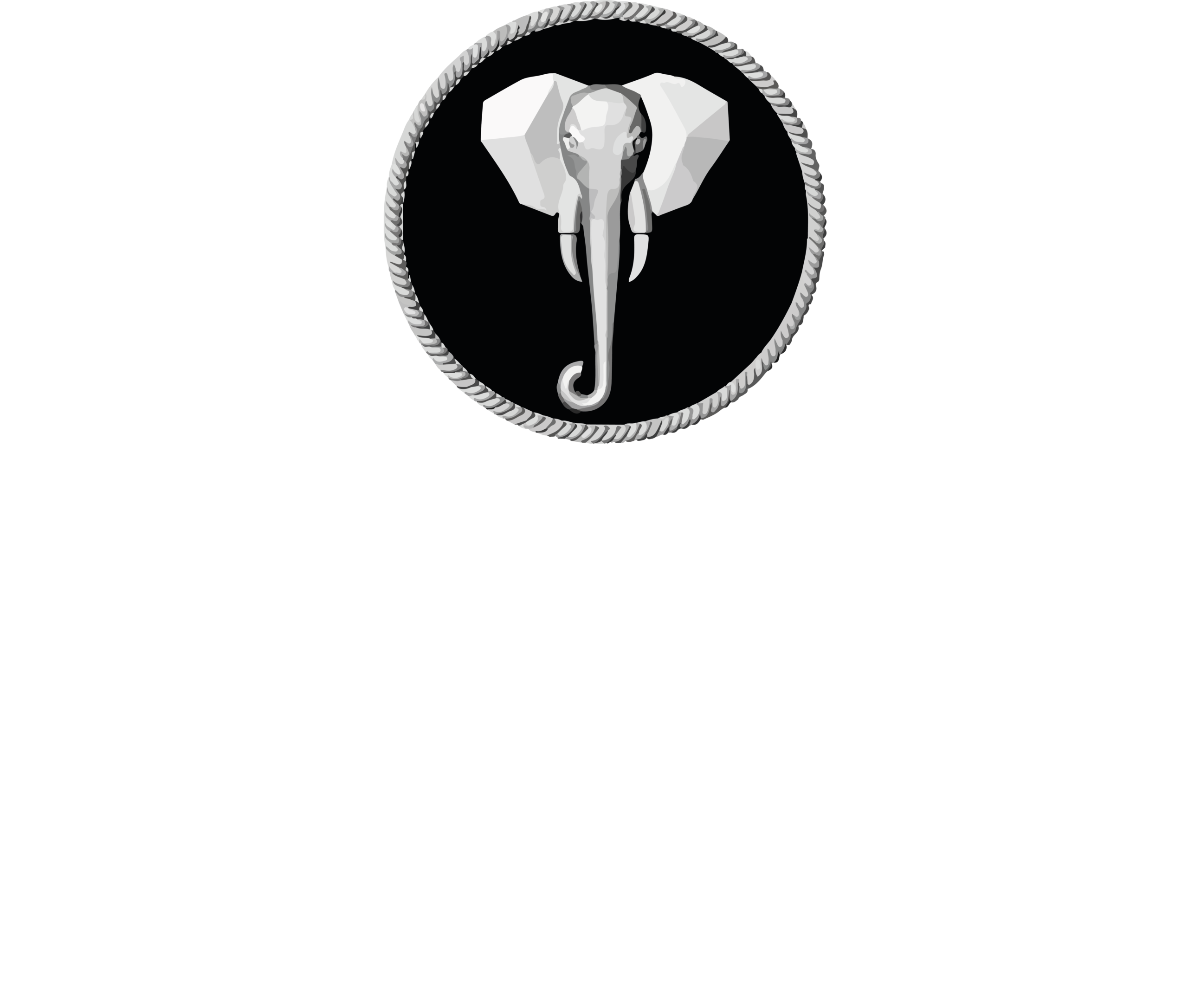 SwatiN Designs Logo
